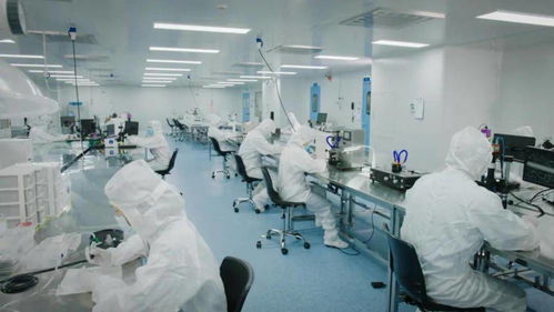 北芯生命遞交招股書 擬募資12.74億元，加速新材料技術研發與產業化進程